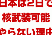 韓国「我々なら6カ月で核武装できる！」　日本「え？日本は2日で作れるけど？なぜそうしないかが理解できないのか？」　　韓国終わったな…
