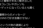 【画像】警察さん、Z李逮捕に続き、『コレコレ』や『ガレソ』もロックオンしてる模様wwwww