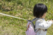 女さん、子供を迷子紐で繋いでいたら見知らぬ男から「子供が可哀想」と言われてしまう