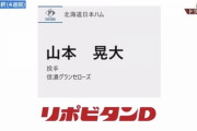 日ハム、育成4位で信濃グランセローズ・山本晃大を指名し選択終了！