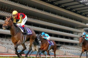 【最優秀短距離馬】グランアレグリア　藤沢調教師「春は高松宮か大阪杯、秋は米BCか天皇賞秋に挑戦したい」