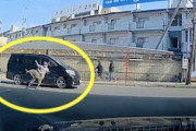 【大阪】事故った車のブレーキ遅すぎｗｗｗ当て逃げかと思った交通事故の映像。