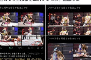 女子プロレスラーのケツばかり撮影していた変態、本人に怒られ垢消し逃亡
