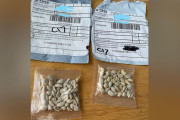 「正体不明の種子が入った不審な郵便物」が米国各州にが届く、中国から発送か…当局が警戒を呼びかけ！