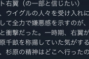 渡辺輝人弁護士「入管における人権侵害が酷い。外国人の人権問題に火がつくと良いなあ」