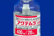 日本の量子科学技術研究開発機構、新型コロナの重症化メカニズムを解明　関節リウマチ治療薬の治験へ
