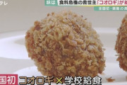 【画像】米の代替食に「コオロギ」ブームが再燃か