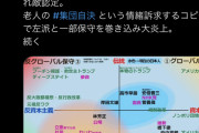 【朗報】ツイッタラー「保守と左派の違いをグループ分けしてみた。普通の日本人はここ！」