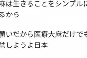 【麻】依存症まんさん「日本でも大麻解禁してよぉぉぉ?（ﾊﾟｼｬｯ）」