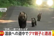 【独自】「ただただ恐怖」1日3度もクマと遭遇　温泉への道中にクマの親子　入浴中も目の前に…帰路でも出没　北海道・斜里町