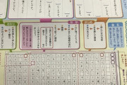 【画像】小学校の「読書感想文」、とんでもないことになっていたwwwwwwwwwwwwwwwwwwwwwwwwwww