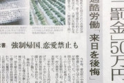 レタス村「特定技能の外国人が集まらない！」　→政府、制度改正で外国人の定住促進へ