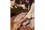 実家の犬と戯れる与田ちゃんが可愛すぎるんだが！！！【乃木坂46】