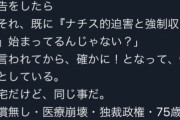 ブルックリン住みの友人「曰本ってナチス化始まってるんじゃない？」