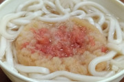 【画像】こういうのでいいんだよ天ぷらうどん
