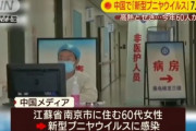 【悲報】中国｢新型ブニヤウイルス｣とかいうので7人死亡　60人が感染