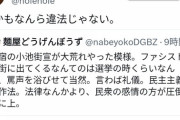 【悲報】小池百合子都知事への演説妨害、色々と一線を超えつつある・・・