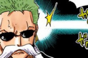 【ONEPIECE -ワンピース】ゾロってあいつ船の中で1人だけ明確な役割というか役職がないよな？？？？？