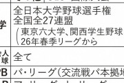 セ・リーグがDH導入、「大谷ルール」も採用へ　鈴木理事長「是非、子供たちは投げて打つことをやってもらいたい」