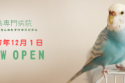 彡(ﾟ)(ﾟ) 「インコが体調崩したときに良さげな病院見つけたから電話したら架空サイトだった」