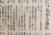 韓国人「日本メディアが韓国の『言論仲裁法』を批判！」「韓国言論仲裁法は、言論統制につながる懸念」→「日本人は自分の国を心配しろ！」　韓国の反応