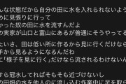 彡(ﾟ)(ﾟ)「雨すごいな…せや！用水路見に行ったろ！ｗ」