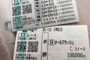 【競馬/川崎記念】300万オーバー馬券