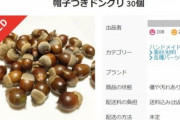 【急募】メルカリで買うと捗るもの
