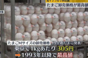 物価の優等生「たまご」最高値を更新…卸売り1キロあたり305円「一時的に枯渇しそうな状況」