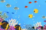 【画像】ドブ川で拾ってきた魚達がすくすく育っててワロタｗｗｗｗｗｗ