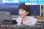 ネットの誹謗中傷。投稿者情報の新開示制度について語る総務大臣の顔がすごい件