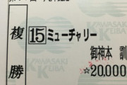 5/25(水) 大井11R 第67回デイリー盃大井記念(SⅠ) 発走20:10