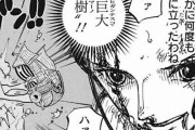 『ワンピース』最新話、あのキャラがとんでもないことになるｗｗｗｗ