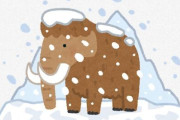 マンモスの絶滅、「花粉症」が原因の可能性　鼻が詰まって大変だぞう