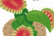 【流行】お前ら食虫植物飼わないの？