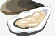 スーパーの牡蠣「生食用です」←これ