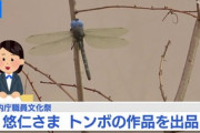 悠仁さま、本物のトンボの羽をむしり粘土細工にくっつけ作品を提出する