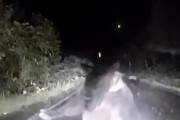 【北海道】停車した車が子連れのヒグマに襲われてしまう衝撃映像。