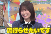 【日向坂46】今回の若様フレンドリー企画、前回とは別物になる