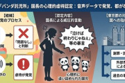 【速報】全国にある企業主導型保育施設「パンダ託児所」台東区の施設に改善指導　　男性園長が園児に「泣けば終わりじゃねえ」威圧的に何度も叱責