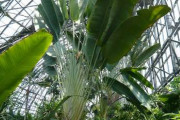 植物園とかいう何故か不人気な施設www