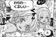 【ネタバレあり】ワンピース女帝ボア・ハンコックさん、12歳の頃を思い出して号泣