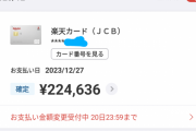 ワイの12月のクレカ請求額ｗｗｗｗｗｗｗｗｗｗ