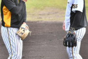 【阪神】佐藤と陽川のコミュニケーションの瞬間を捉えた一枚がこちら