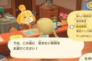 【あつまれどうぶつの森】アプデフライングして嬉しくない人いる？