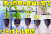 【悲報】生活保護ワイ、食べることしか楽しみがない?