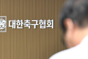 当然4強もだろ　〜　日本人主審も該当か　韓国サッカー協会、外国人審判に性接待疑惑…現地メディア「4強神話も疑われる恥ずべき状況」[8/8]  [ばーど★]