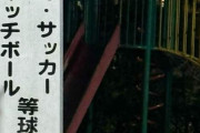 元テレ東アナ、公園の「球技禁止」の看板に「せつない…家の中でゲームしかしないのか」共存できる公共の場を望む
