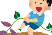 (ヽ´ん`)「幼稚園の芋掘りで土掘れなくて泣いてた」