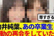 【11月26日の人気記事10選】 櫻坂46向井純葉、あの卒業生と感動の再会をしていた… ほか【乃木坂・櫻坂・日向坂】